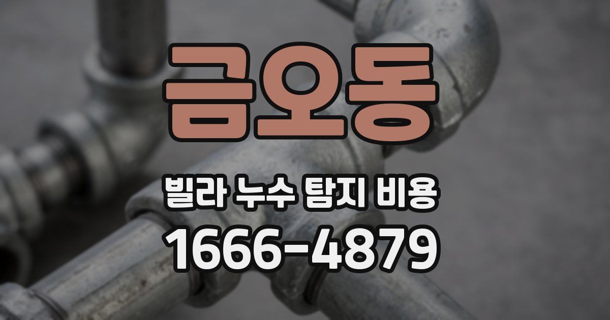 금오동 빌라 누수 탐지 비용