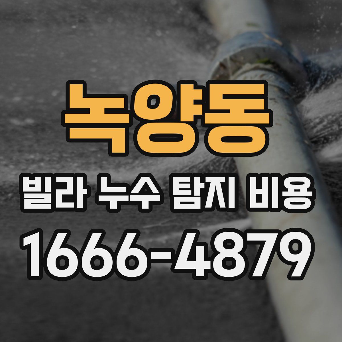 녹양동 빌라 누수 탐지 비용