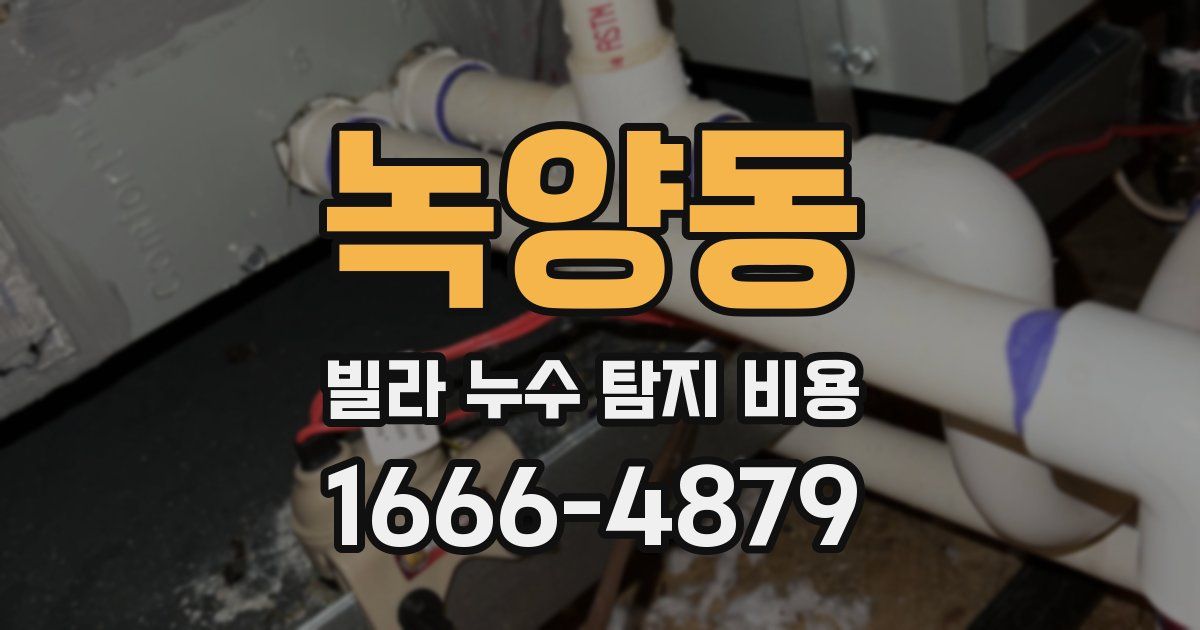 녹양동 빌라 누수 탐지 비용