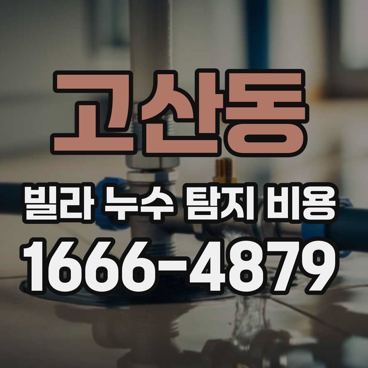 고산동 빌라 누수 탐지 비용