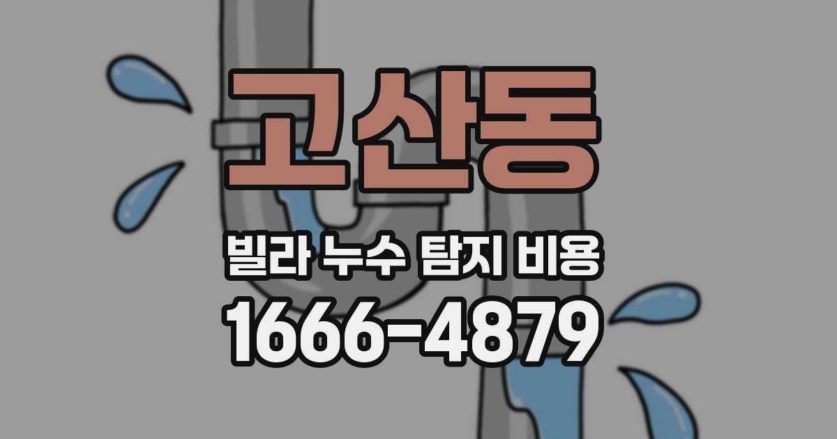 고산동 빌라 누수 탐지 비용