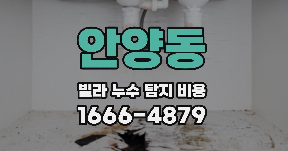 안양동 빌라 누수 탐지 비용