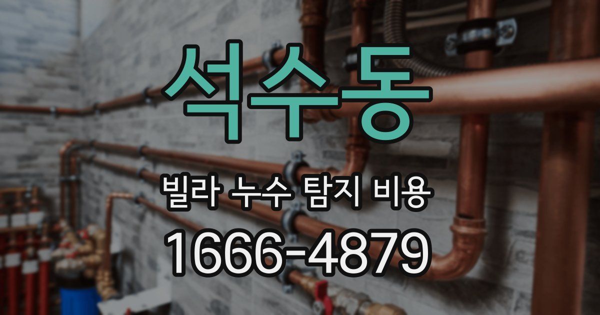 석수동 빌라 누수 탐지 비용
