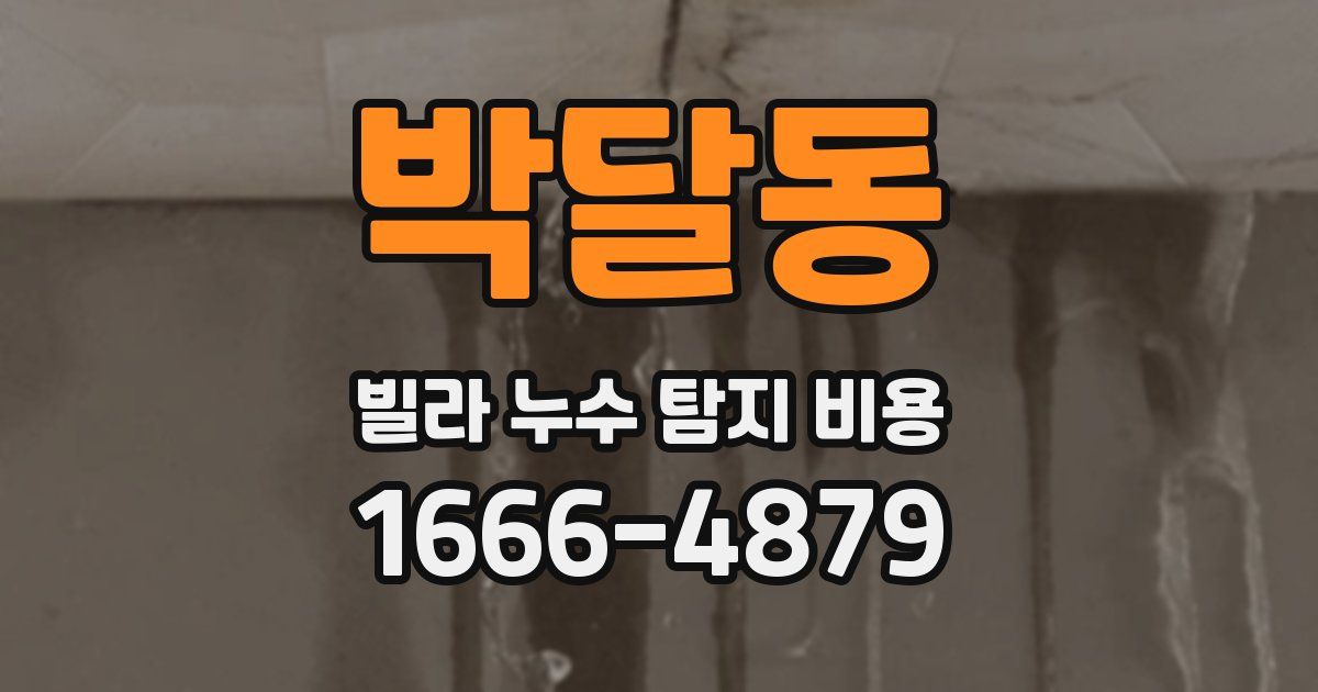 박달동 빌라 누수 탐지 비용