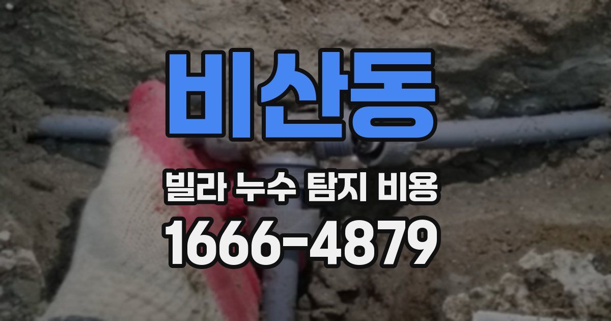 비산동 빌라 누수 탐지 비용