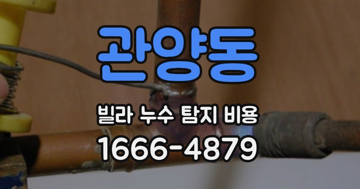 관양동 빌라 누수 탐지 비용