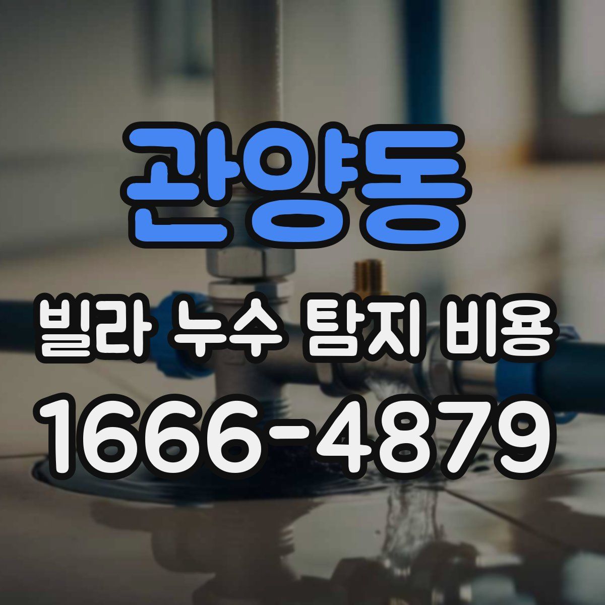 관양동 빌라 누수 탐지 비용