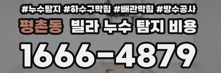 평촌동 빌라 누수 탐지 비용