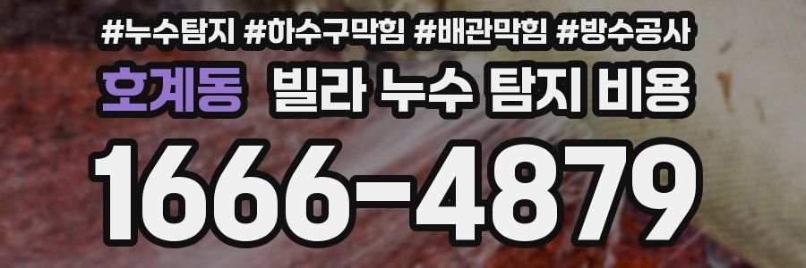 호계동 빌라 누수 탐지 비용
