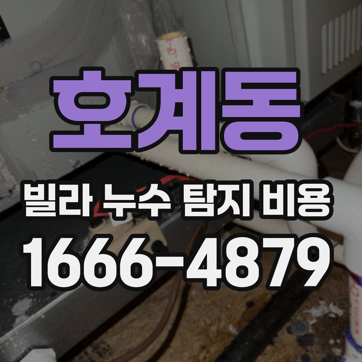 호계동 빌라 누수 탐지 비용