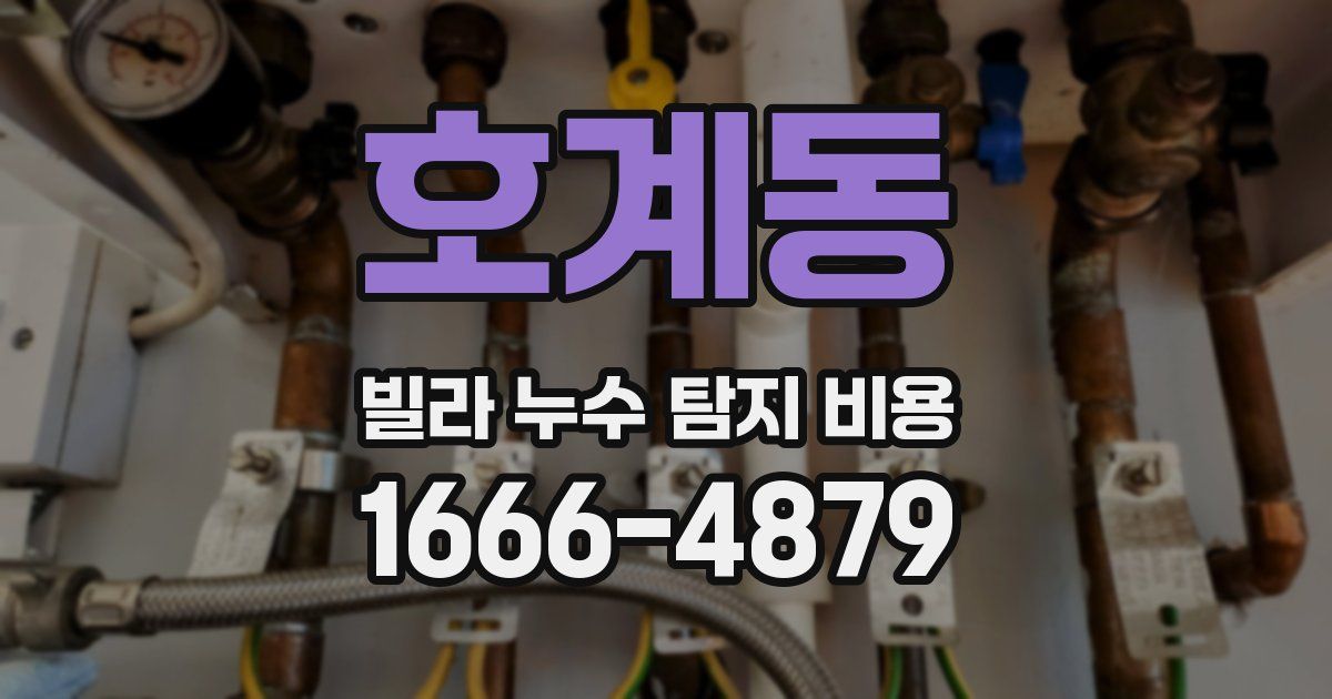 호계동 빌라 누수 탐지 비용