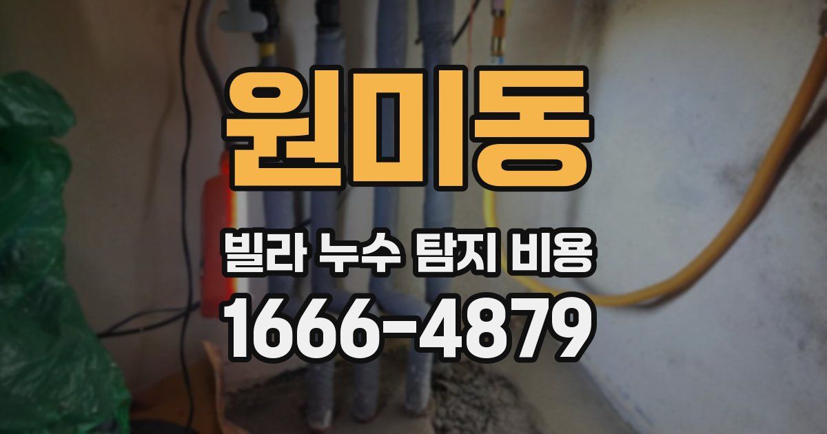 원미동 빌라 누수 탐지 비용