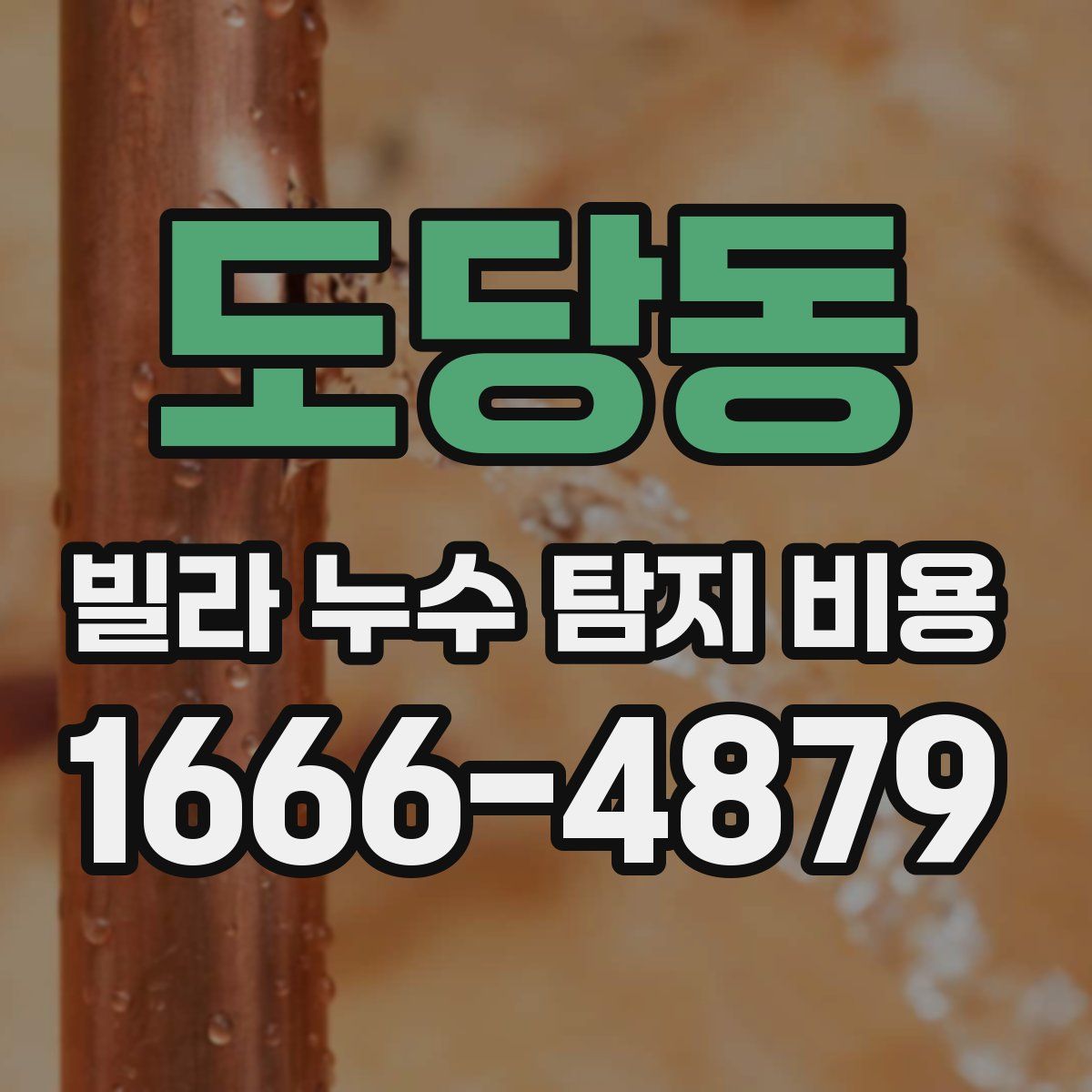 도당동 빌라 누수 탐지 비용