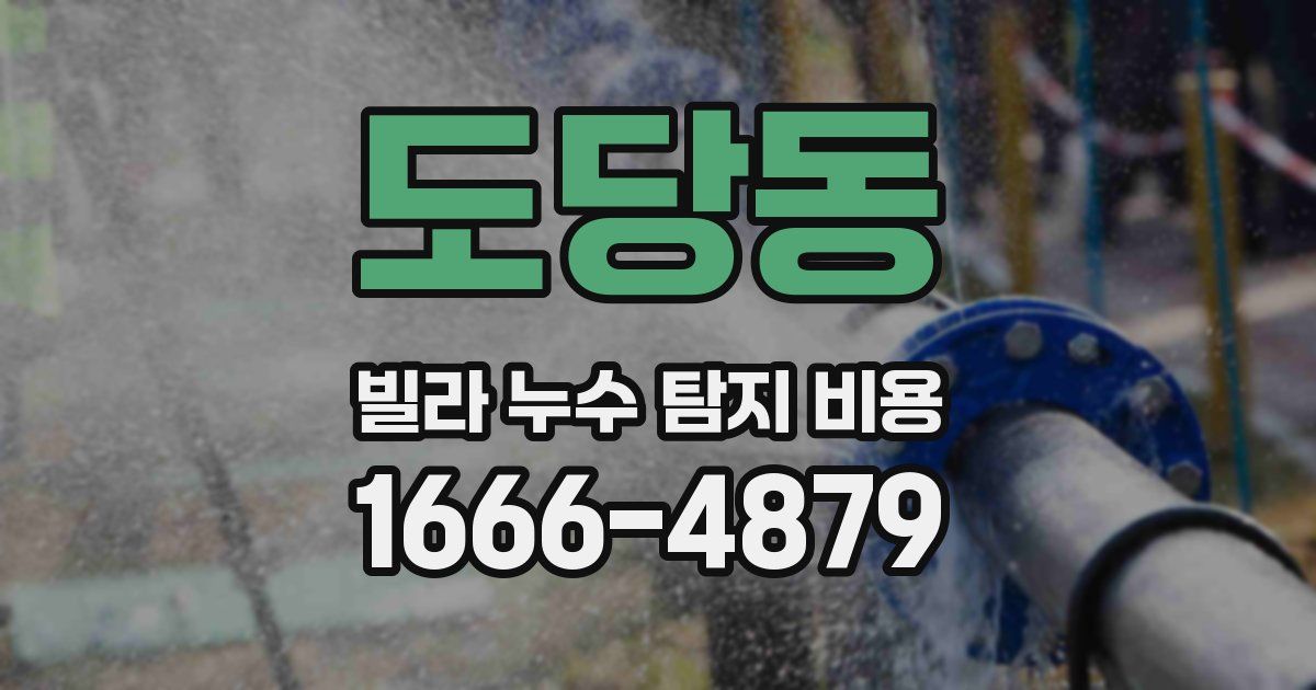 도당동 빌라 누수 탐지 비용