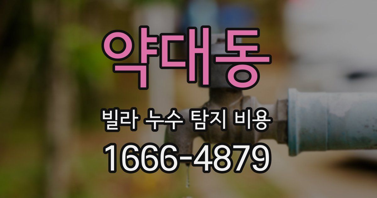 약대동 빌라 누수 탐지 비용