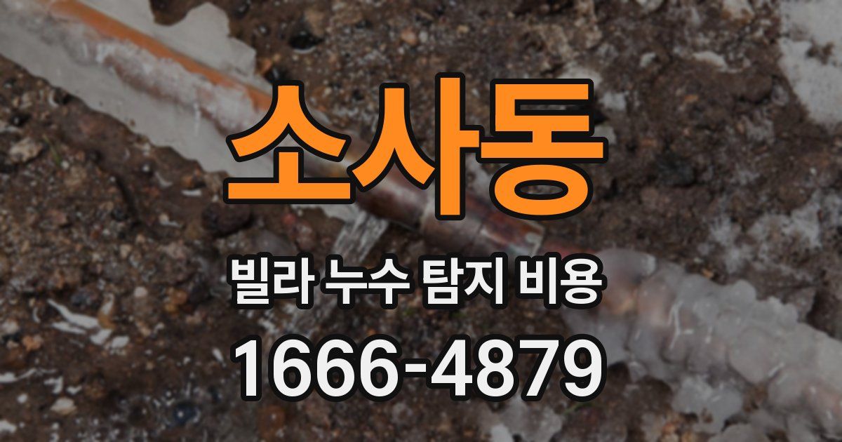 소사동 빌라 누수 탐지 비용