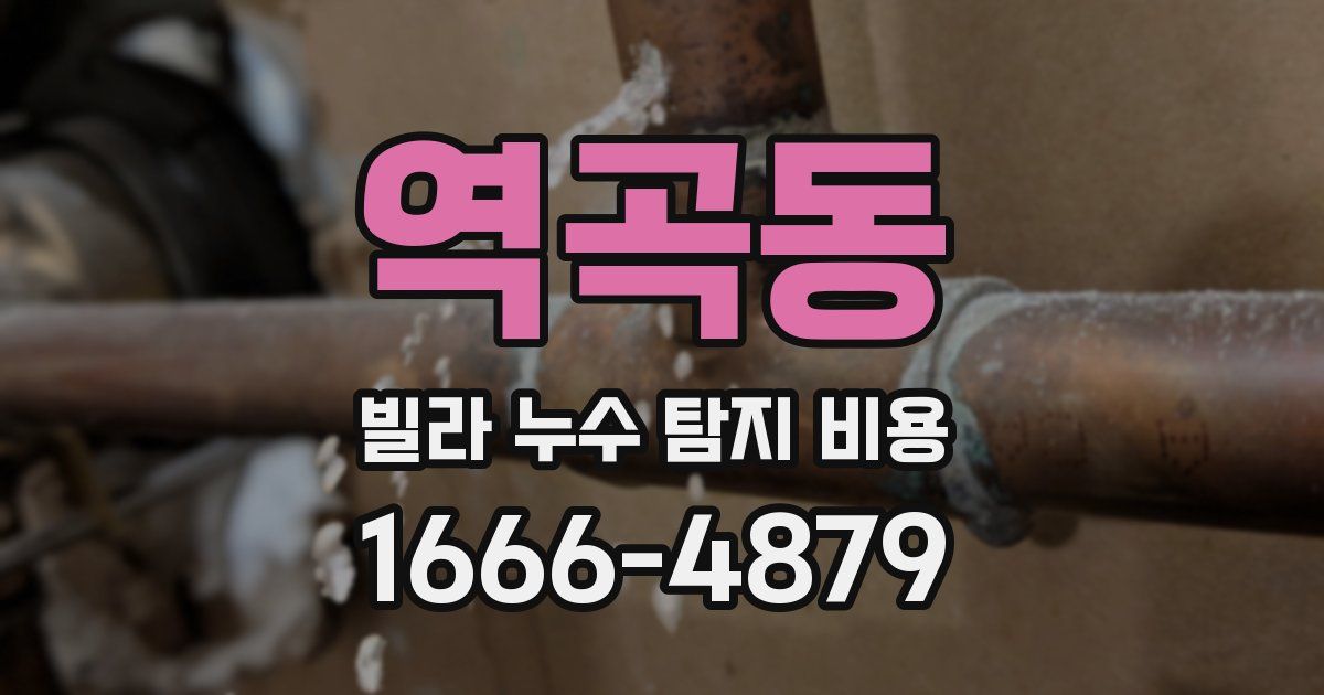 역곡동 빌라 누수 탐지 비용