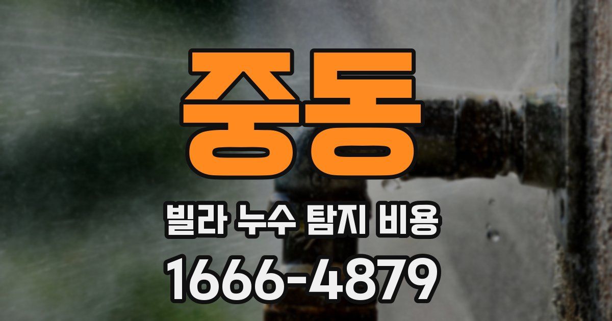 중동 빌라 누수 탐지 비용