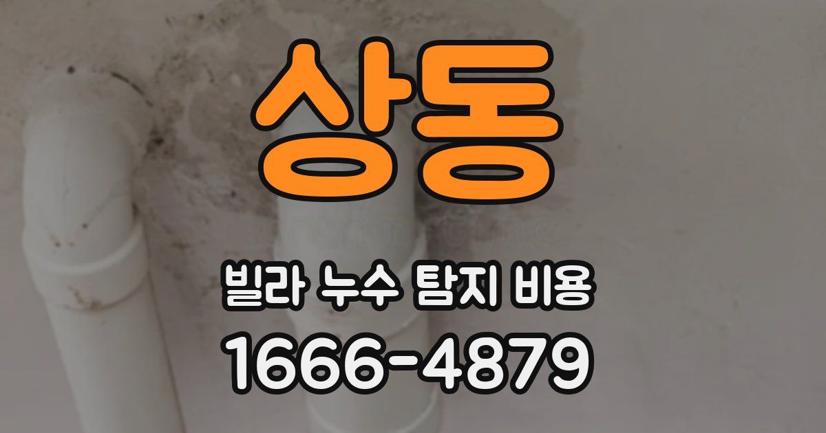 상동 빌라 누수 탐지 비용