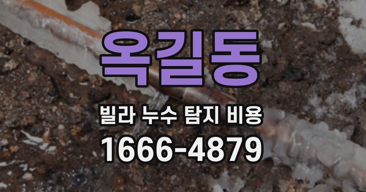 옥길동 빌라 누수 탐지 비용