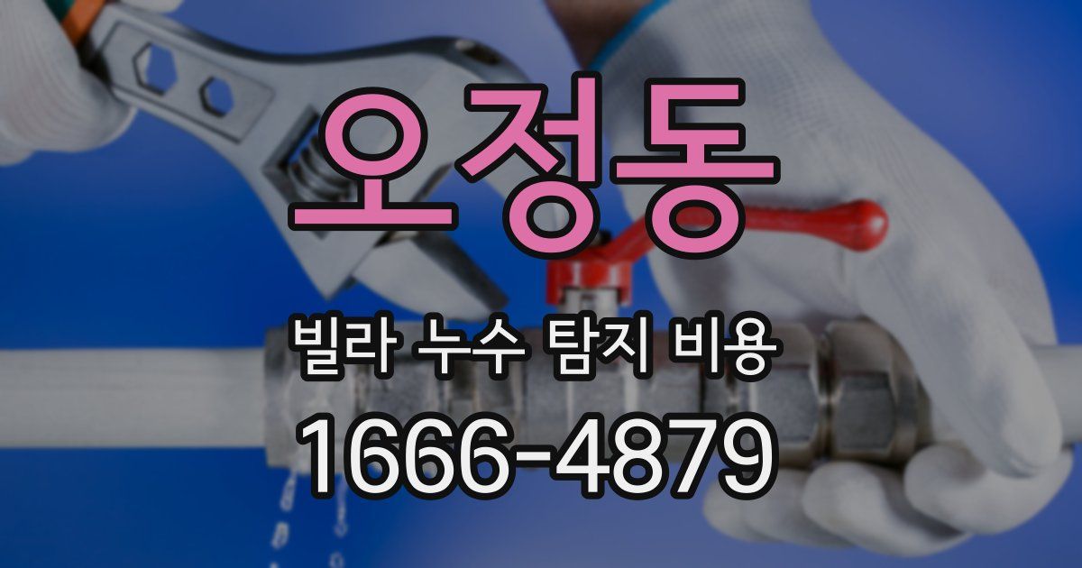 오정동 빌라 누수 탐지 비용