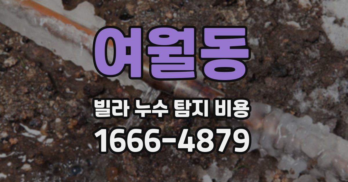여월동 빌라 누수 탐지 비용