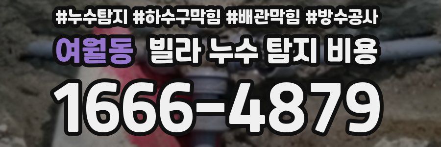 여월동 빌라 누수 탐지 비용
