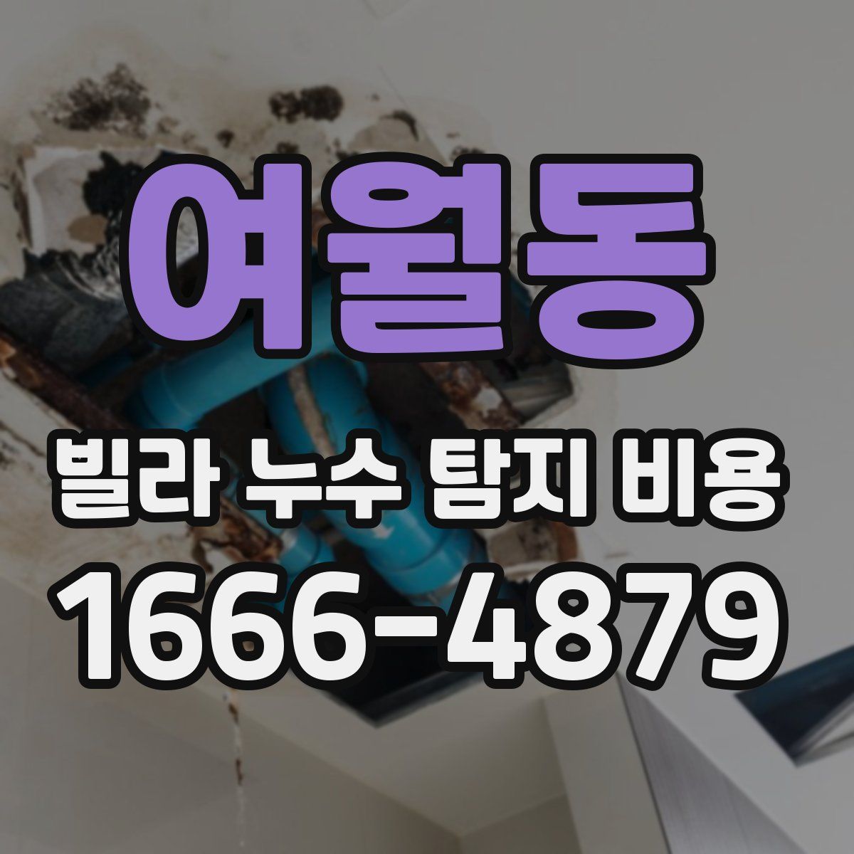 여월동 빌라 누수 탐지 비용