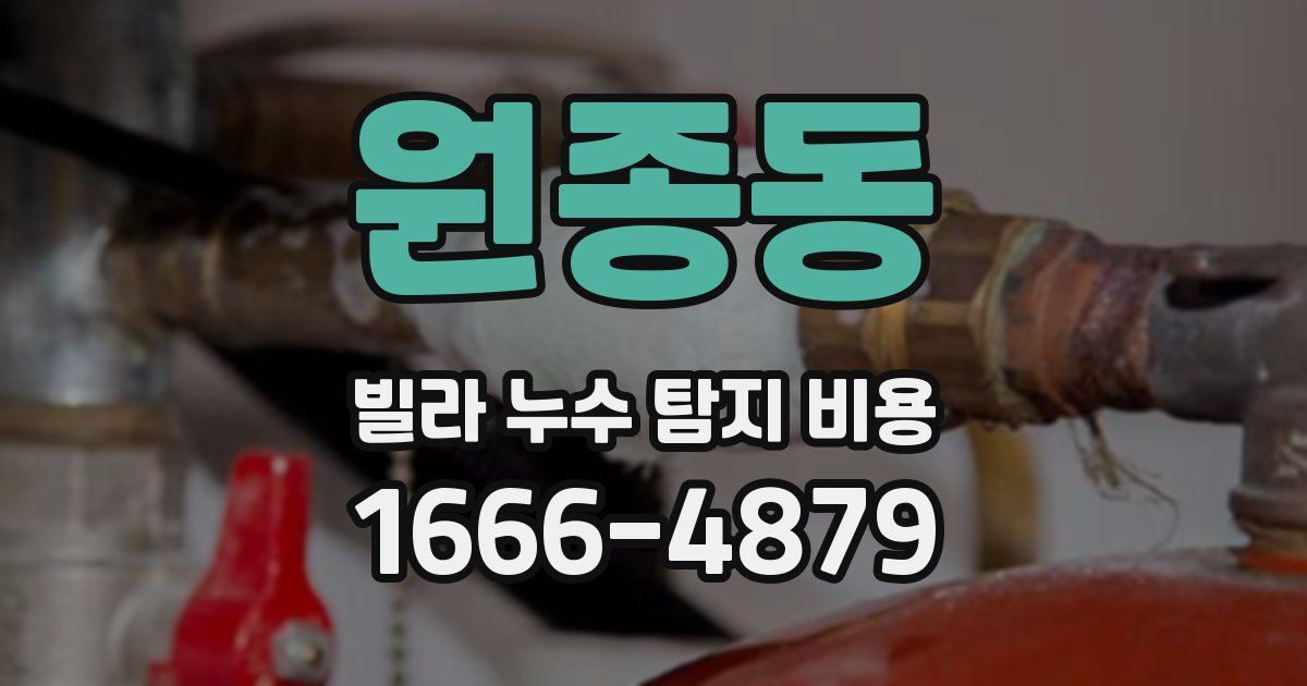 원종동 빌라 누수 탐지 비용