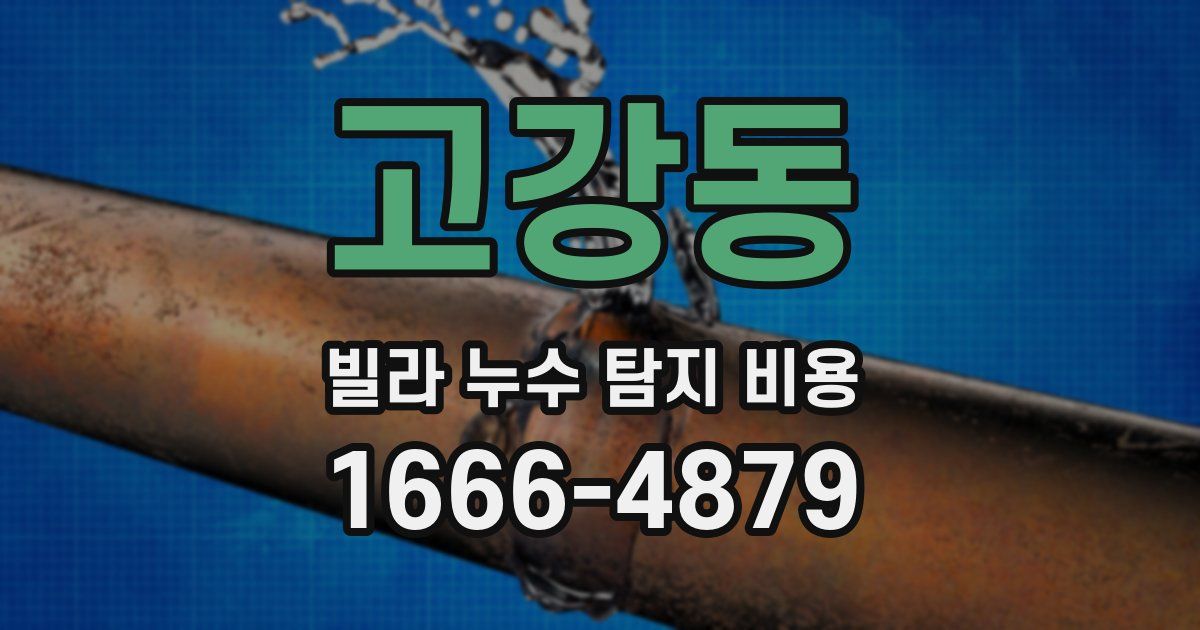 고강동 빌라 누수 탐지 비용