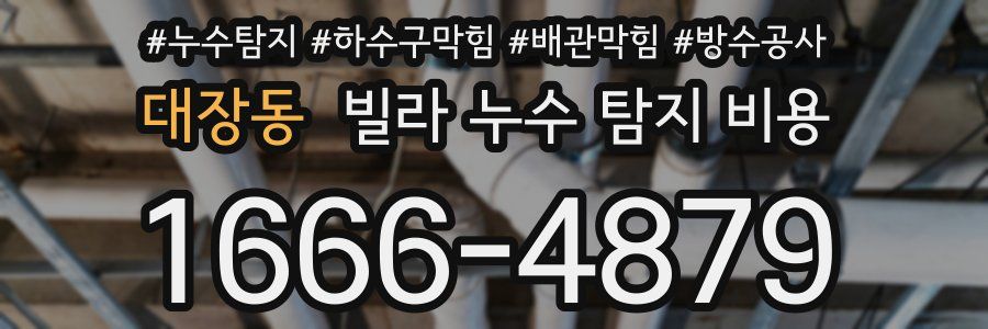 대장동 빌라 누수 탐지 비용