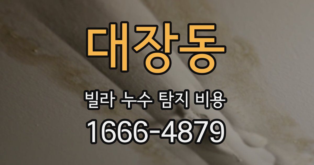 대장동 빌라 누수 탐지 비용