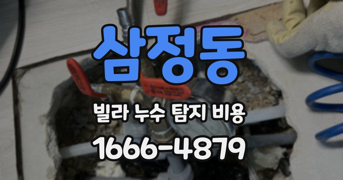삼정동 빌라 누수 탐지 비용