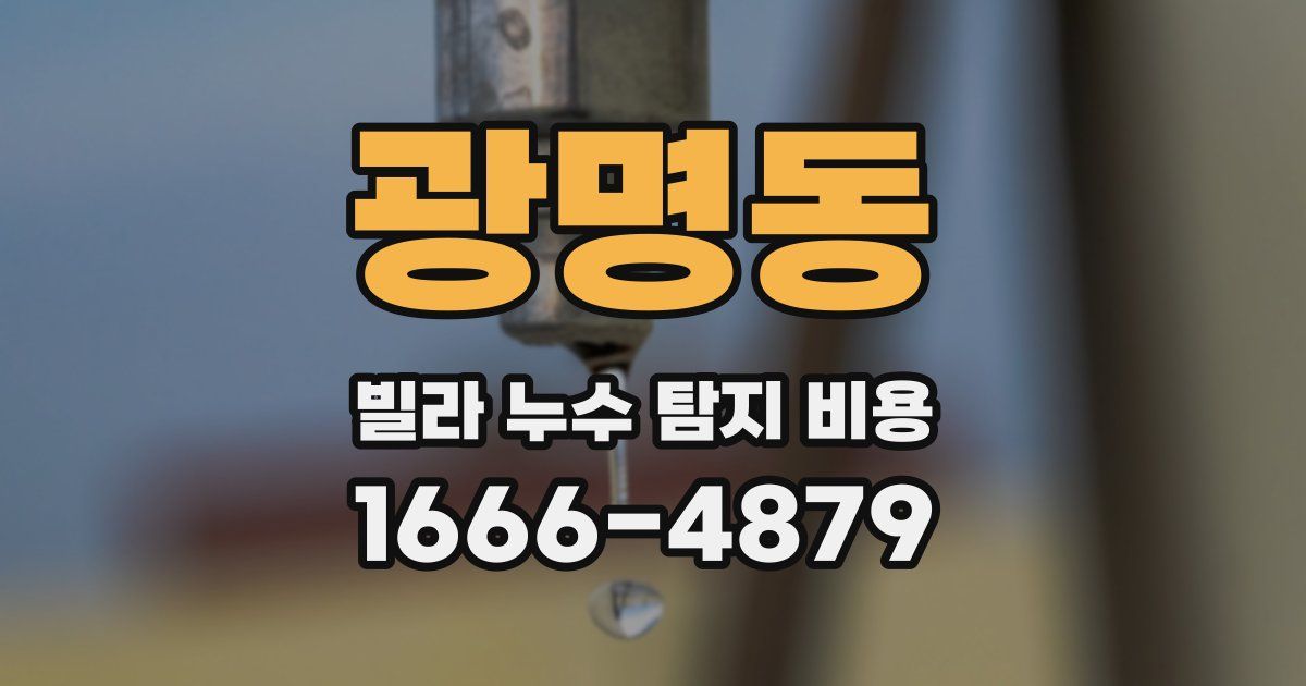 광명동 빌라 누수 탐지 비용