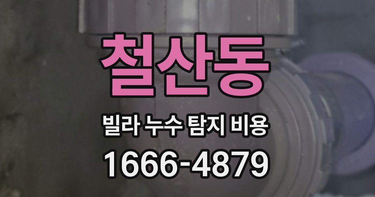 철산동 빌라 누수 탐지 비용