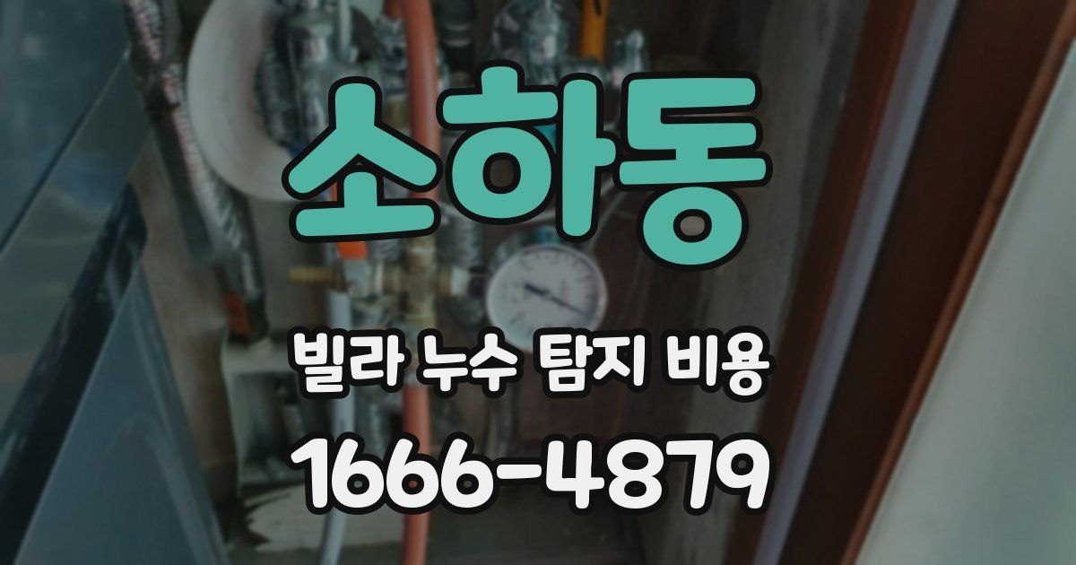 소하동 빌라 누수 탐지 비용
