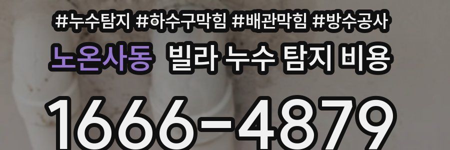 노온사동 빌라 누수 탐지 비용