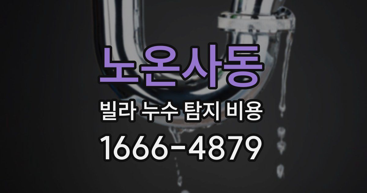 노온사동 빌라 누수 탐지 비용