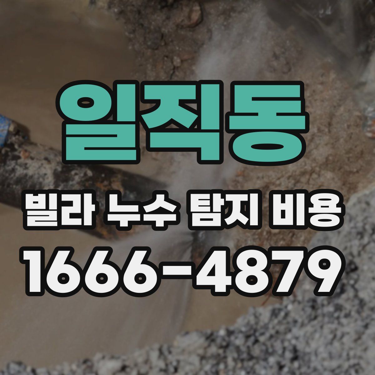 일직동 빌라 누수 탐지 비용