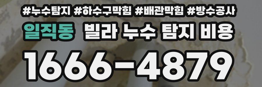 일직동 빌라 누수 탐지 비용