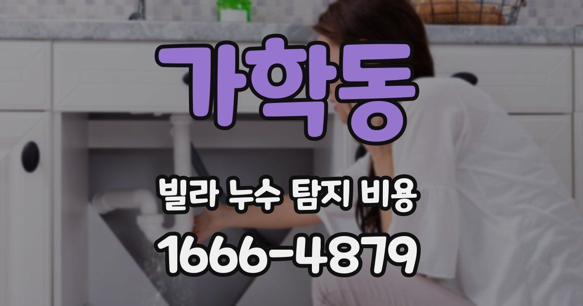 가학동 빌라 누수 탐지 비용