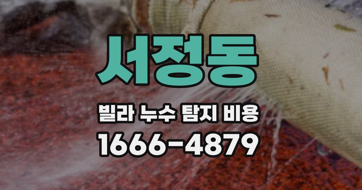 서정동 빌라 누수 탐지 비용
