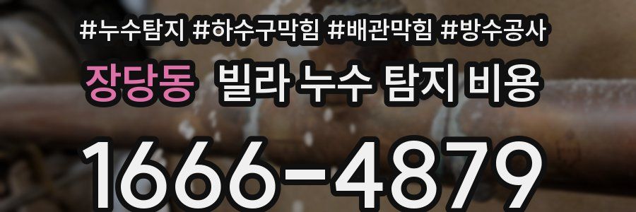 장당동 빌라 누수 탐지 비용