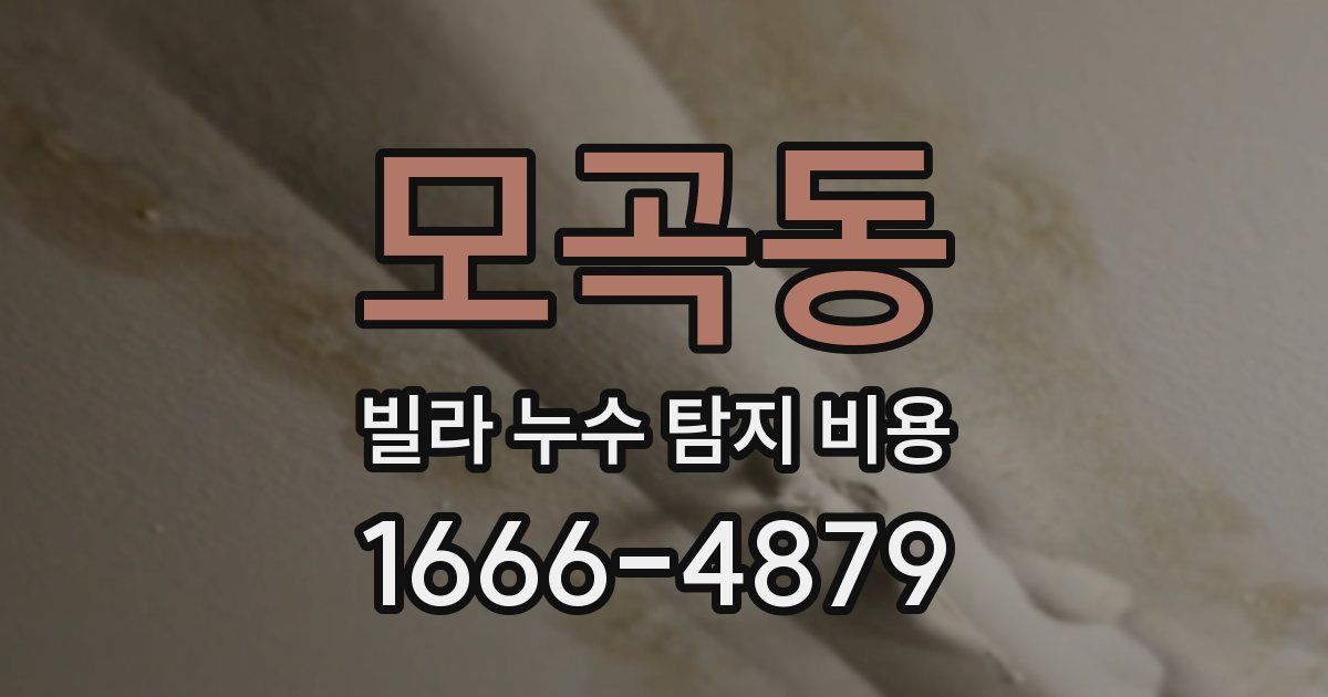 모곡동 빌라 누수 탐지 비용