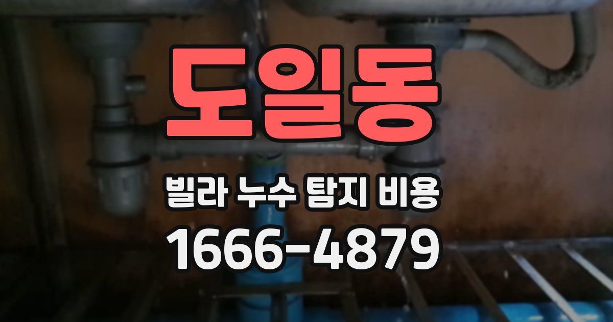 도일동 빌라 누수 탐지 비용
