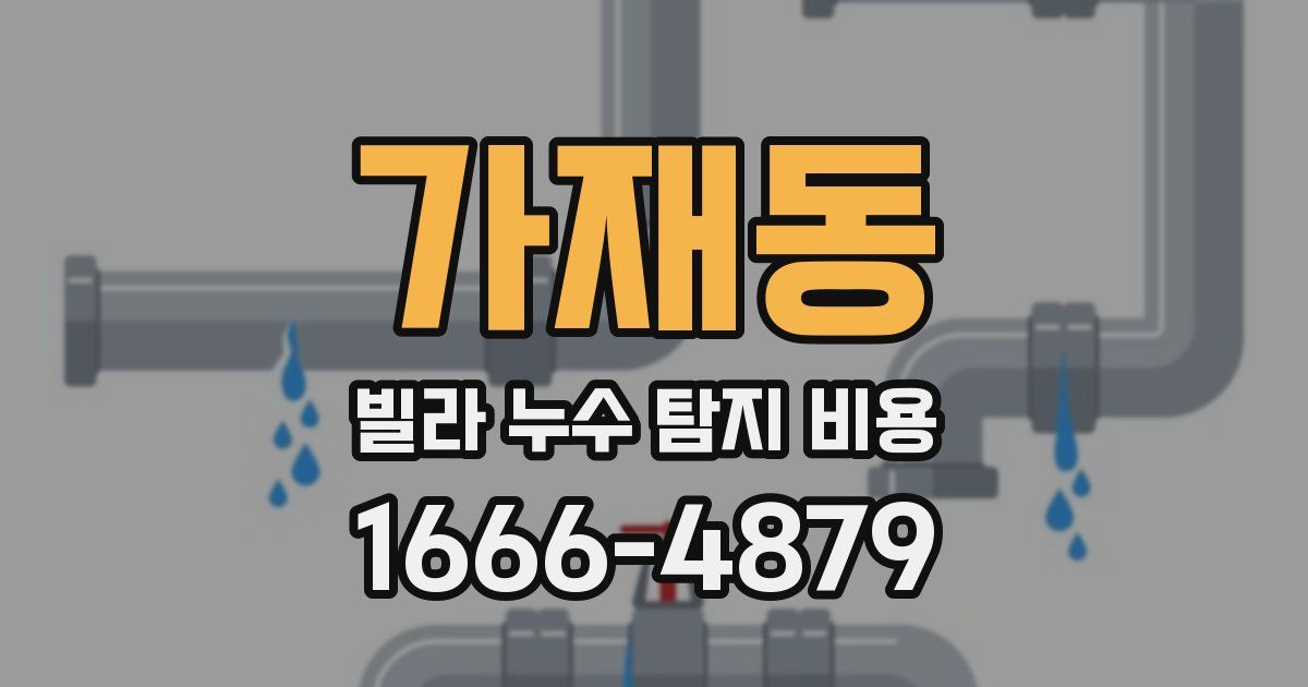 가재동 빌라 누수 탐지 비용