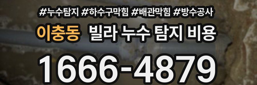 이충동 빌라 누수 탐지 비용