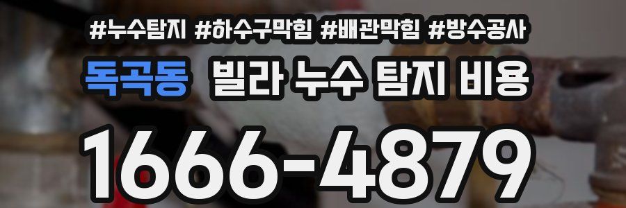 독곡동 빌라 누수 탐지 비용