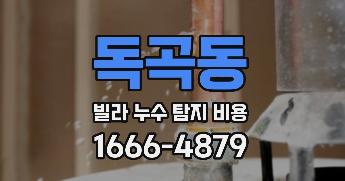 독곡동 빌라 누수 탐지 비용
