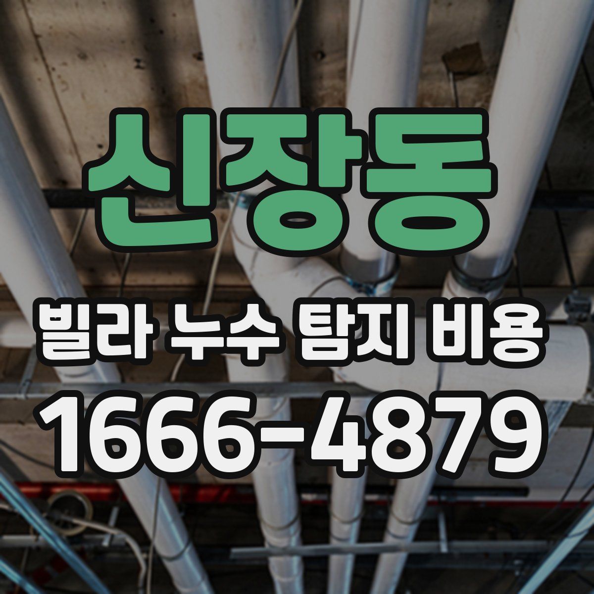 신장동 빌라 누수 탐지 비용
